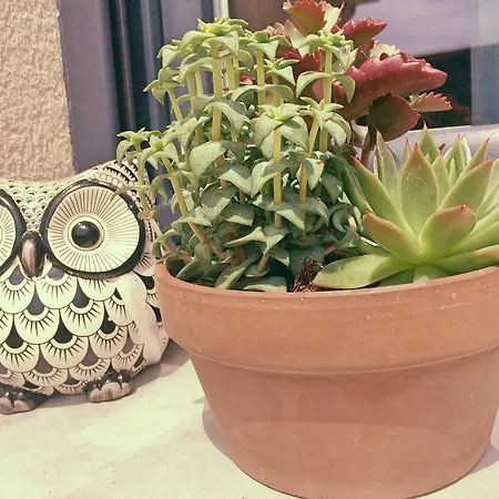 La Ferme D'antan Baie De Somme Couette-café 3*