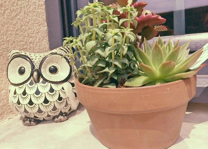 La Ferme D'antan Baie De Somme Bed & Breakfast