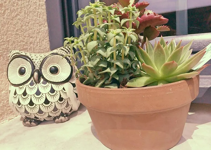 La Ferme D'antan Baie De Somme Bed & Breakfast 3*